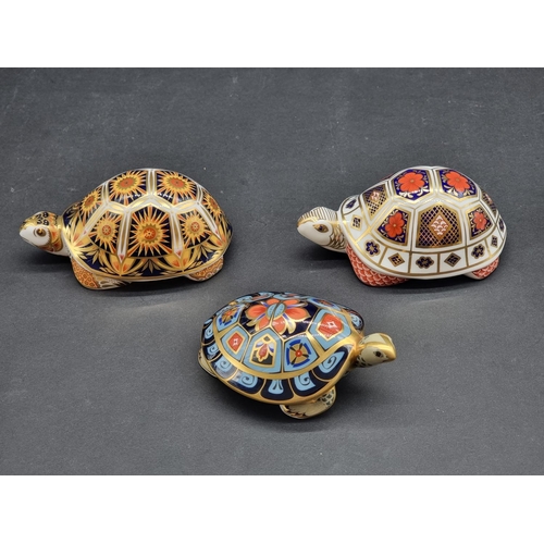 1611 - Royal Crown Derby Imari paperweights: two tortoises and a terrapin, each with stopper, two with CoA.... 