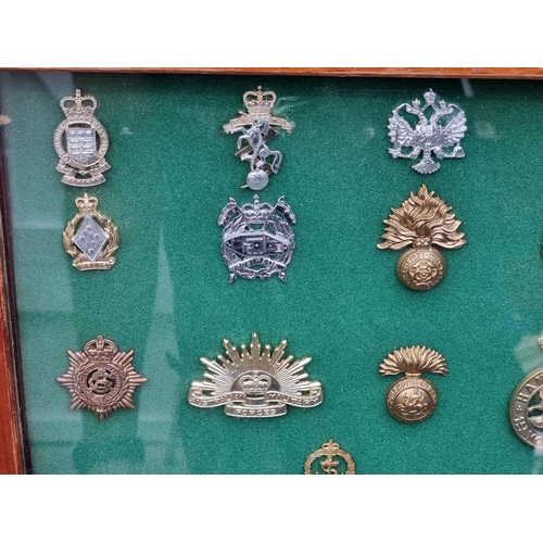 778 - A framed display of fifty-four military cap badges, 48 x 70cm