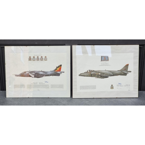 784 - Two coloured prints of a Harrier GR.7 and a Harrier GR.3, both signed 'Spike', 29 x 43cm. (2)... 