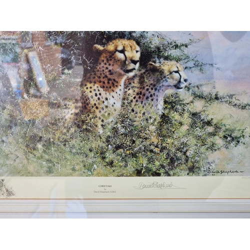 1140 - David Shepherd, five various pencil signed colour prints, to include 'Cheetah'; 'Ice Wilderness' and... 