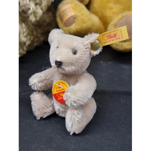 176 - Steiff: a 1920 Replica golden mohair teddy and a smaller example (largest with growler); together wi... 