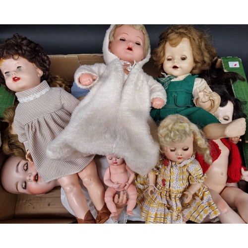 208 - Dolls: a group of vintage dolls, to include examples by Schoberl & Becker; Pedigree; Roddy ... 