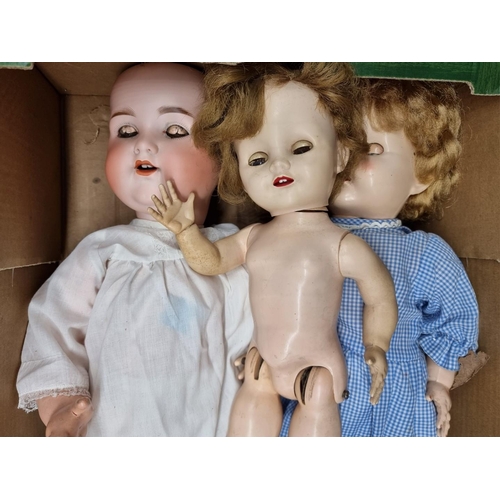 208 - Dolls: a group of vintage dolls, to include examples by Schoberl & Becker; Pedigree; Roddy ... 