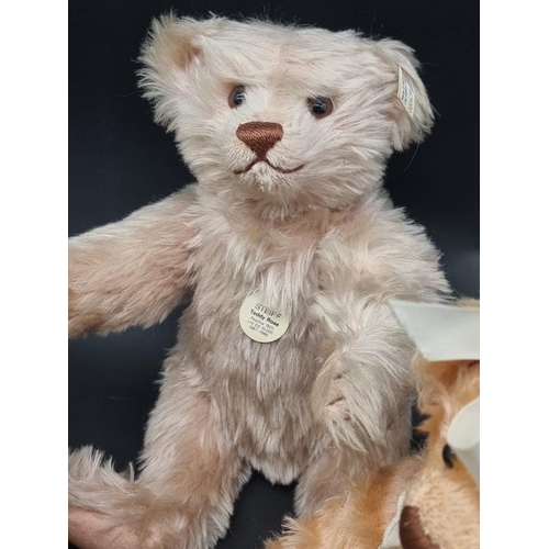 33 - Steiff: a collection of teddy bears, to include a Steiff Petsy; Teddy Rose replica 1925, Sailor Girl... 