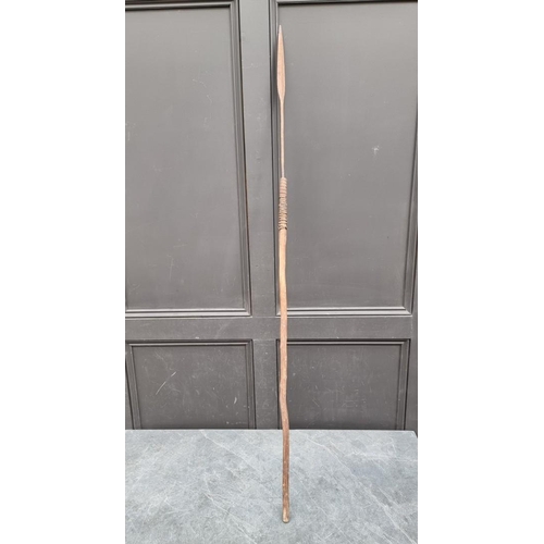 561A - A native spear, 156cm approximately.