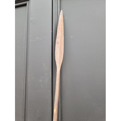 561A - A native spear, 156cm approximately.