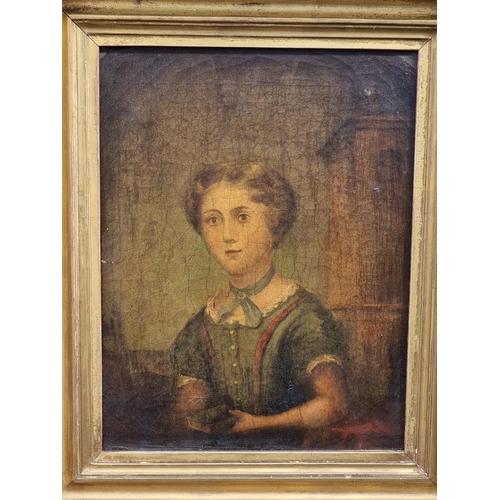 1169 - British School, 19th century, bust length portrait of a young girl, oil on canvas, 40 x 31cm.... 