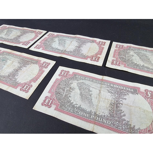 494 - Banknotes: Rhodesia, five Elizabeth II 1966 one pound notes, prefix K18/19.