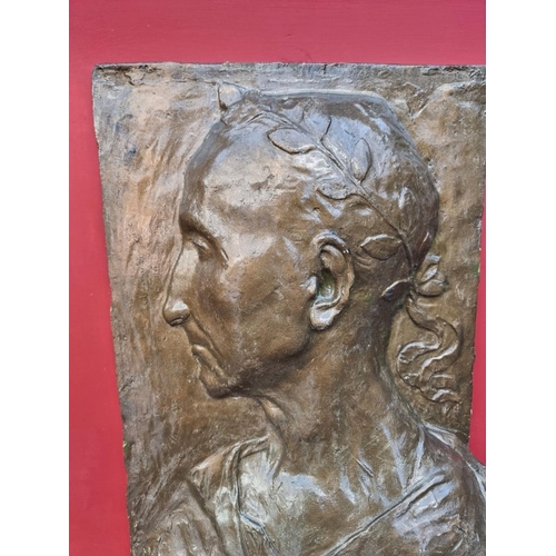 1751 - A plaster relief plaque of Julius Caesar, 46 x 29cm, framed. 