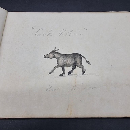 221 - CARICATURE ALBUM: 'Political Donkeys': album c.1840, 12pp with watercolours and a few other pen... 