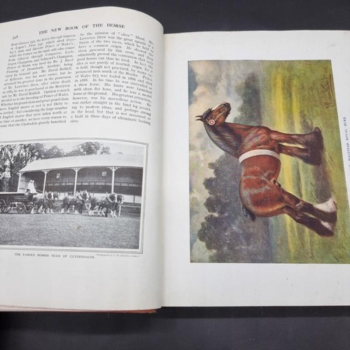 225 - LAWRENCE (John): 'The History and Delineation of the Horse, in all his varieties..': Albion Press, p... 