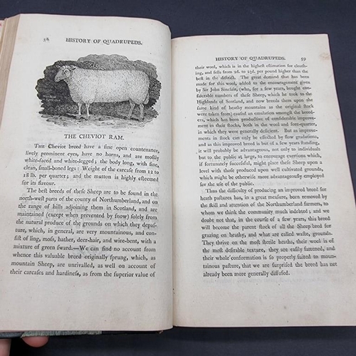 232 - BEWICK (Thomas, Illustrator): 'A General History of Quadrupeds..': Newcastle Upon Tyne, printed... 