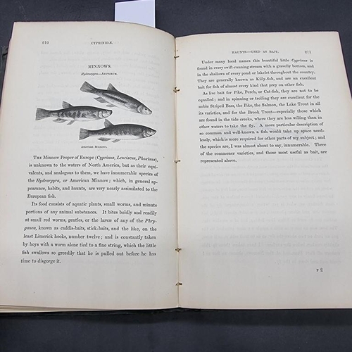 307 - MEINERTZHAGEN (Colonel R): 'Nicholls's Birds of Egypt...': London, Hugh Rees Ltd, 1930: 2 vols,... 