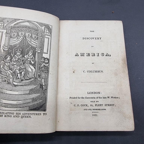 313 - TRAVEL: 8 vols, largely defective 18th-19thc travel, inc. 3 vols Adams 'Modern Voyager and Traveller... 