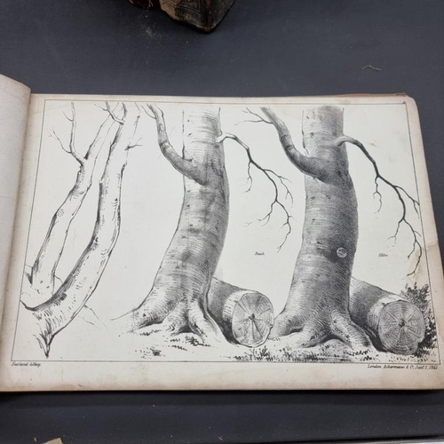 338 - DRAWING BOOK: a defective copy of Fairlands Trees, London, Ackermann & Co, 1841: litho plates wi... 