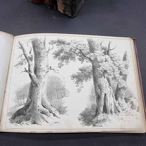 338 - DRAWING BOOK: a defective copy of Fairlands Trees, London, Ackermann & Co, 1841: litho plates wi... 