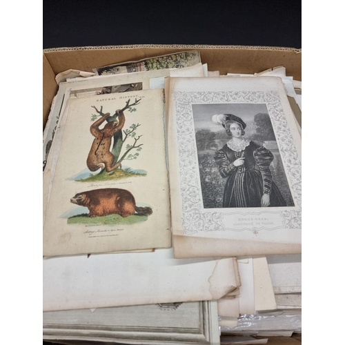 428 - PRINTS & ENGRAVINGS: a large quantity in one box. (Qty)