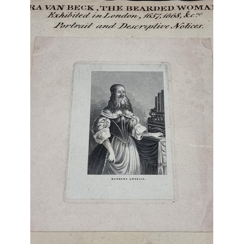 603 - BARBARA VAN BECK, THE HAIRY WOMAN: pencil drawing or tracing of 3/4 length portrait of this 17t... 