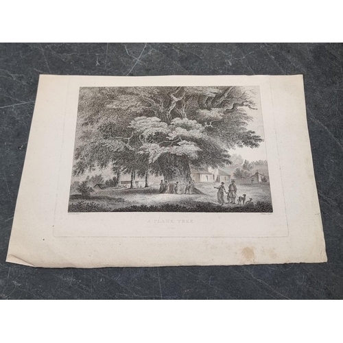 630 - PRINTS & ENGRAVINGS: a large quantity in box and folio, various sizes and condition, mainly... 