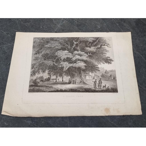 630 - PRINTS & ENGRAVINGS: a large quantity in box and folio, various sizes and condition, mainly... 