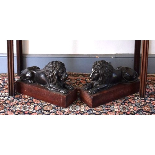 1862 - (THH) A large and impressive pair of bronze recumbent lions, each on a Breccia marble base, 35.5cm h... 