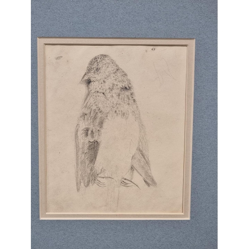 1107 - Manner of Sir Edwin Landseer, a folio of pencil sketches, largest approx 20 x 17cm, each mounted. (1... 