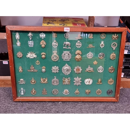 1703 - A framed display of British military cap badges. (54)