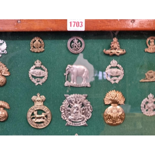 1703 - A framed display of British military cap badges. (54)