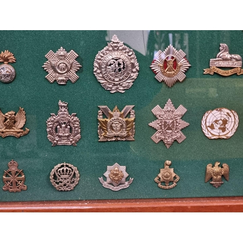 1703 - A framed display of British military cap badges. (54)