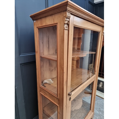 1009 - A 19th century continental pine display cabinet, 102cm wide.