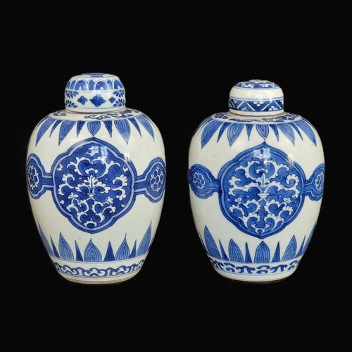 A pair of Chinese blue and white vases, Kangxi