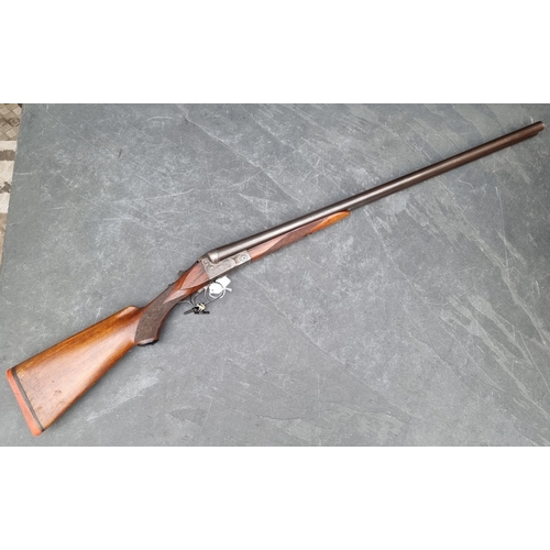 Lot 19        