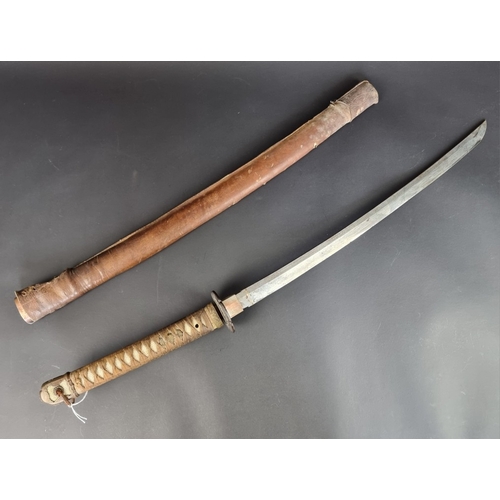 Lot 20        