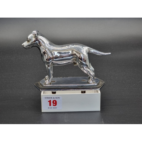 Lot 19        