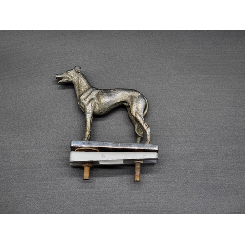 Lot 20        