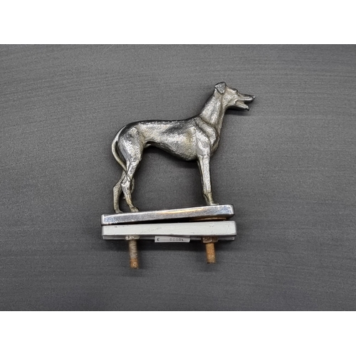 20 - A vintage chrome plated Greyhound car mascot, 9cm high.
