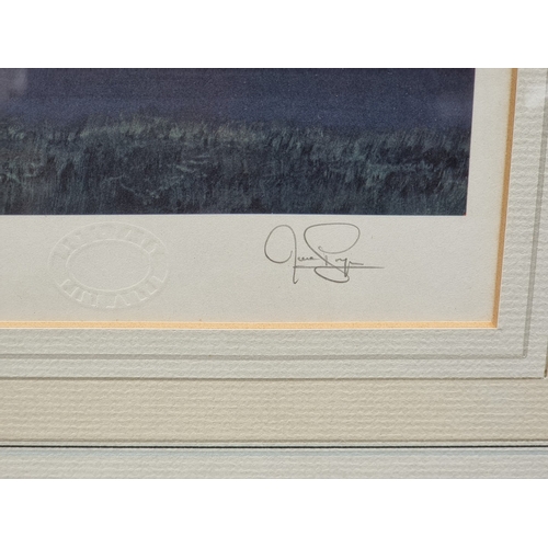 51 - Ivan Berryman, 'Jean Alesi Benetton B.196', signed and numbered 23/250, colour print, I.25 x 43cm; t... 