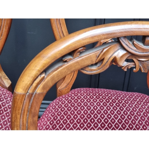 1058 - A set of six Victorian walnut balloon back salon chairs.