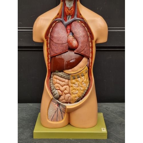 1537 - A SOMSO life-size anatomical model, 92cm high.
