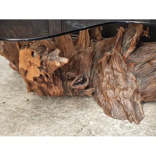 1095 - A large root wood and smoked glass top coffee table, 142.5cm wide.
