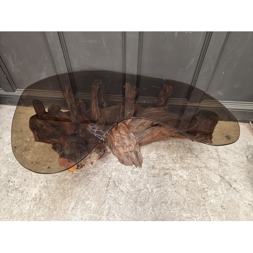 1095 - A large root wood and smoked glass top coffee table, 142.5cm wide.