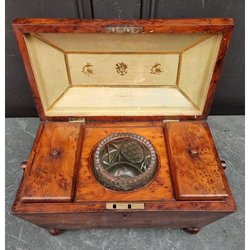 1142 - A 19th century burr yew sarcophagus tea caddy, total width 35cm.