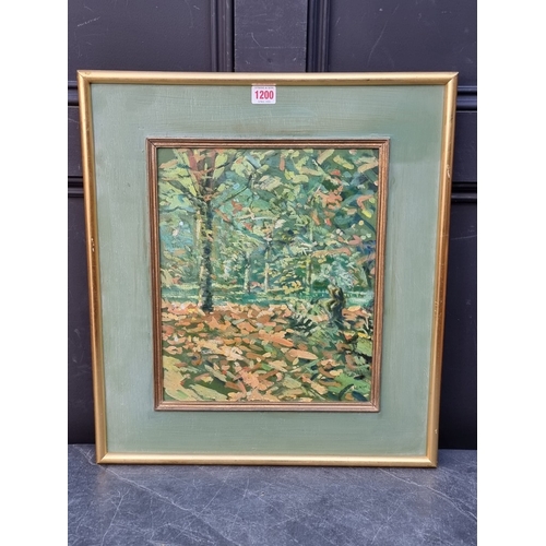 1200 - David Shaw (1952-89), a woodland scene, signed, oil on board, 35 x 29cm.
