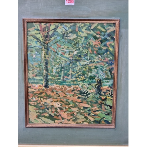 1200 - David Shaw (1952-89), a woodland scene, signed, oil on board, 35 x 29cm.