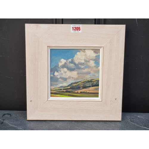 1205 - Peter Iden, ‘Rackam Downs’, signed and dated '98, titled on label verso, oil on board, 14.5 x 14.5cm... 