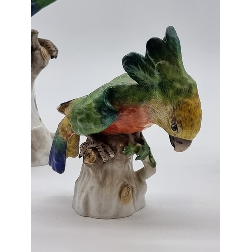 1575 - Three similar Continental porcelain Parrots, largest 30cm high, (s.d. to largest and smallest).... 