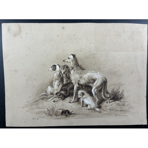 Lot 23        
