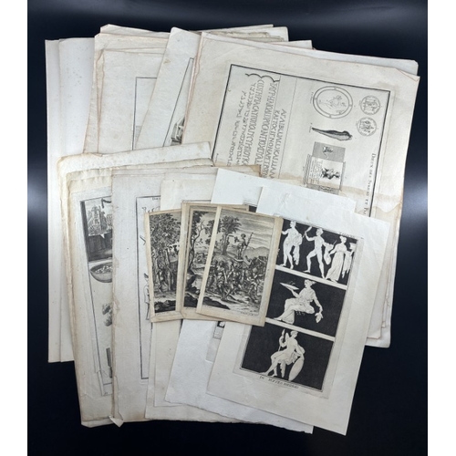 Lot 60        