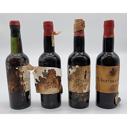 Lot 11        