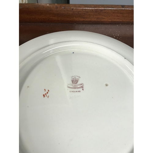 351 - Masons Ironstone cabinet plate